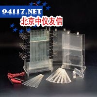 听觉实验装置